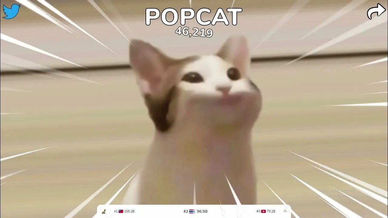 Мем кот с открытым ртом. Кот мем. кот открывает рот. кот открывает рот мем. popcat.