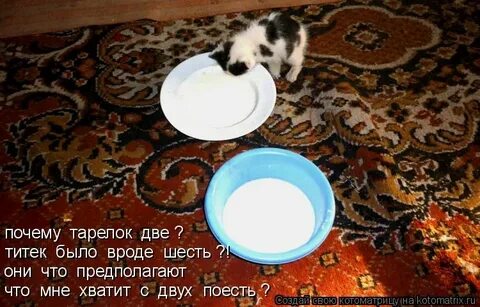 Тарелка почему а