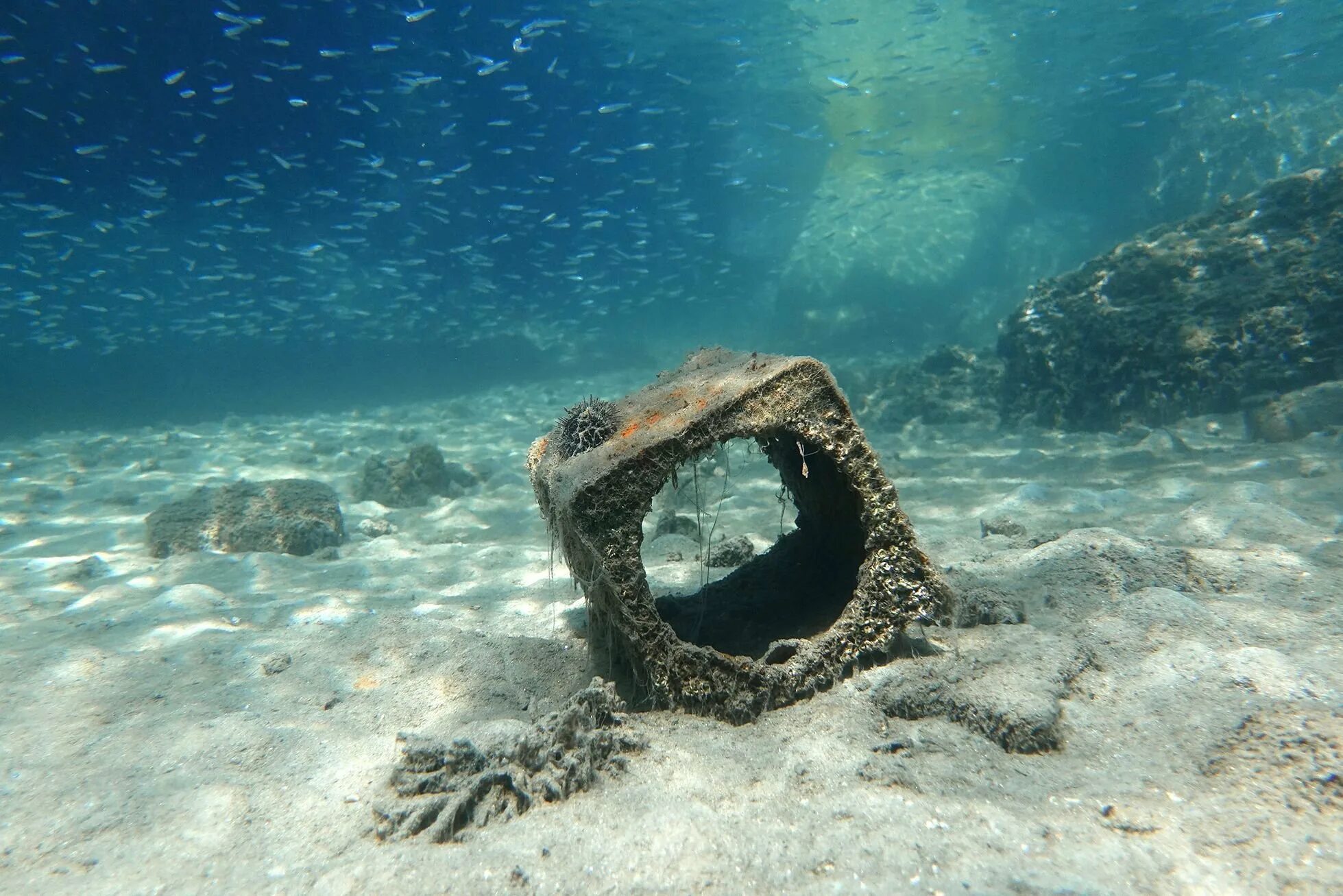 Сухой на дне океана. Морские глубины. Морское дно. Дно океана. На дне моря.