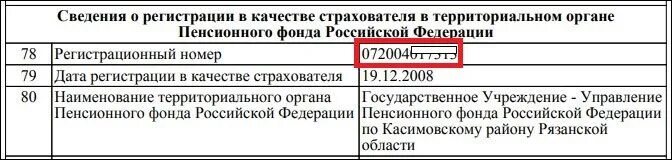 Номер регистрации пфр. Регистрационный номер пенсионного фонда. Регистрационный номер страхователя в ПФР В выписке. Рег номер ПФР. Регистрационный номер страхователя в ПФР ИП.