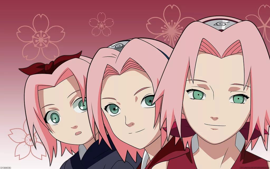 Gojo sakura