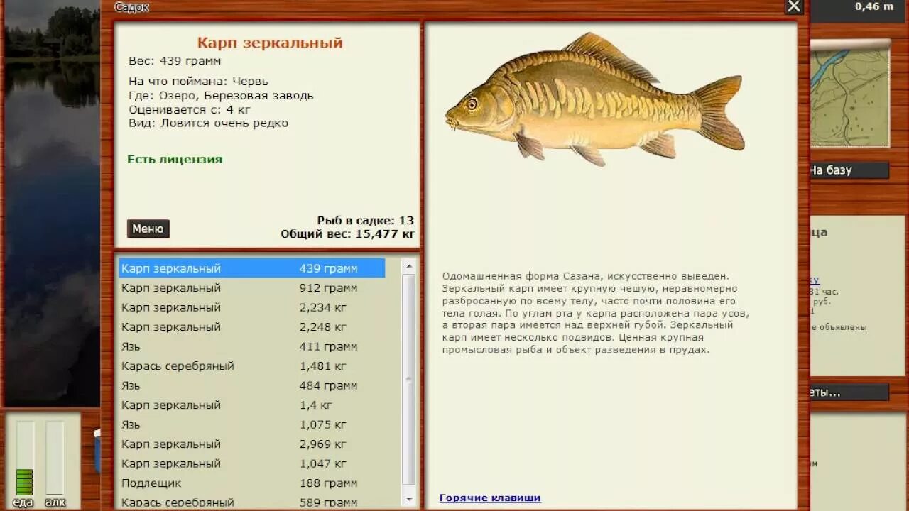 Русская рыбалка 3.1 карпы. Как поймать в игре русская рыбалка