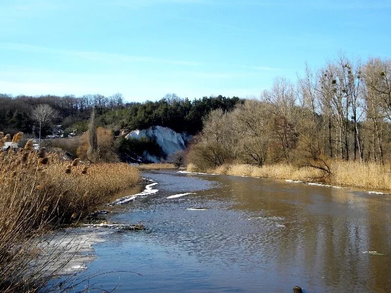 Село ржевка шебекинского района. Ржевка улица совхозная дом 36 шебекинского района. Ржевка белгородская область. Красногвардейский район ржевка пороховые. Маломихайловка шебекинский район.