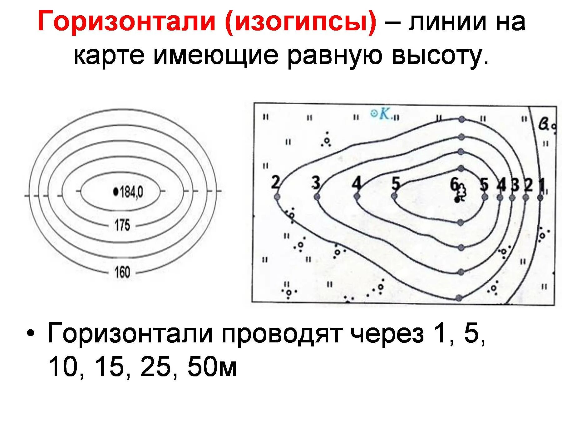Топографическая горизонталь