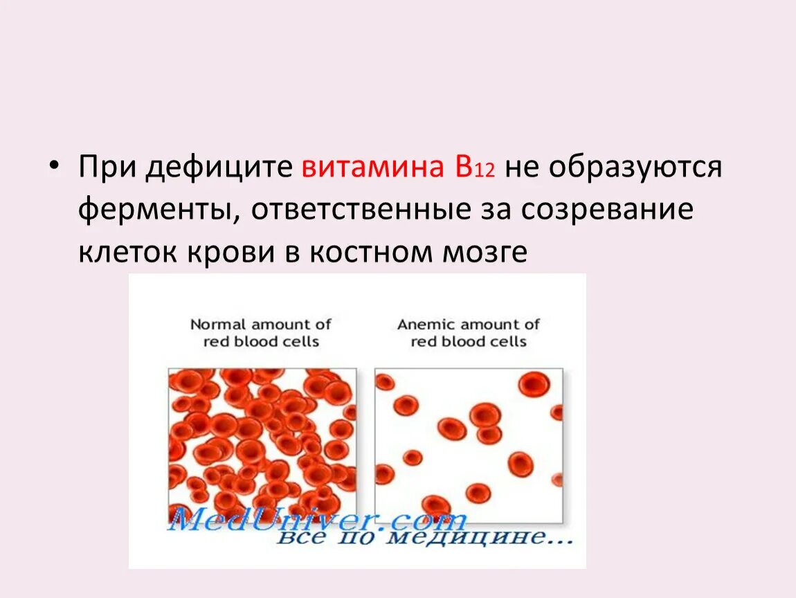 Клетки крови образующийся в костном мозге. При дефиците витамина в12. При недостатке витамина в12. Что развивается при нехватке витамина b12. Дефицит витамина в12.