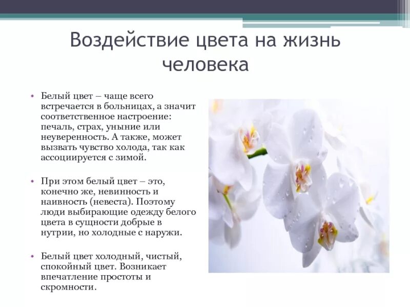 Значение цветов белый. Белый цвет в психологии. влияние белого цвета на человека. что означает белый цвет. белый цвет значение в психологии.