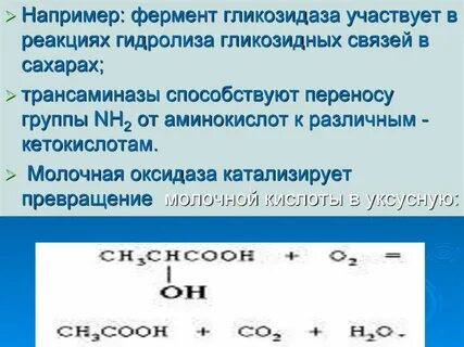 Один фермент катализирует несколько разных реакций