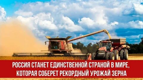 Зерновая отрасль сельского хозяйства