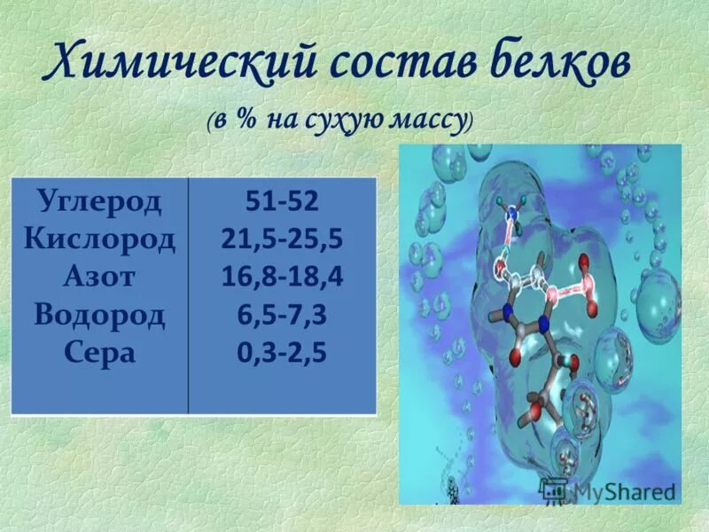 Белки в составе живого организма. Химический состав белков. Белки химический состав. Состав белков химия. Хим состав белка.