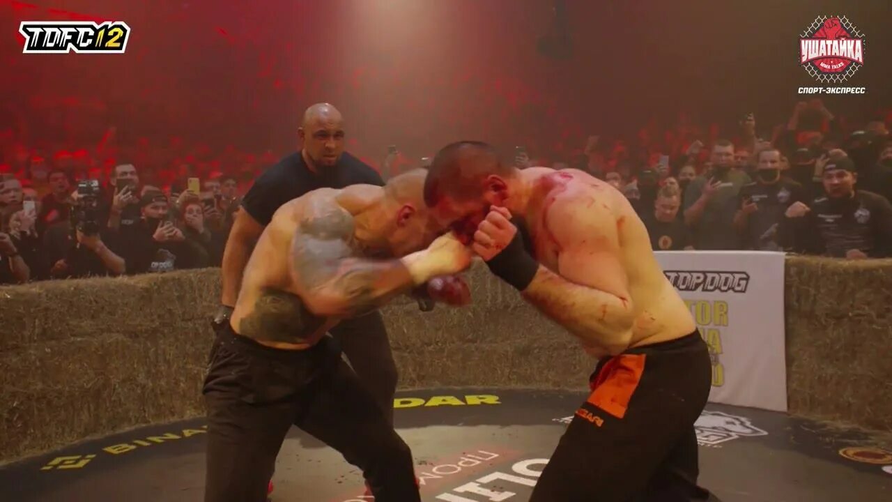 Кратос бои топ дог. Кратос топ дог сергей калинин. Кратос топ дог сергей калинин. Кратос бои топ дог. Сергей евгеньевич калинин кратос.