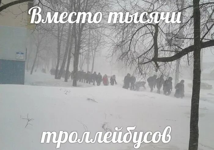 Смешные статусы про зиму. Зимние статусы. Смешные фразы про снег. Статус про снег прикольные. Анекдоты про зиму.