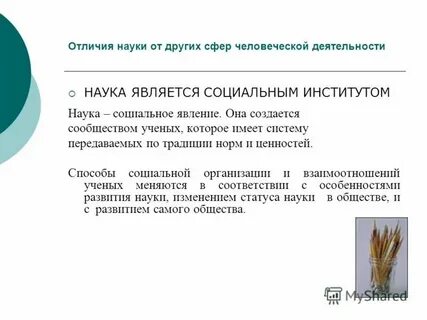 Чем отличается наука от духовной культуры