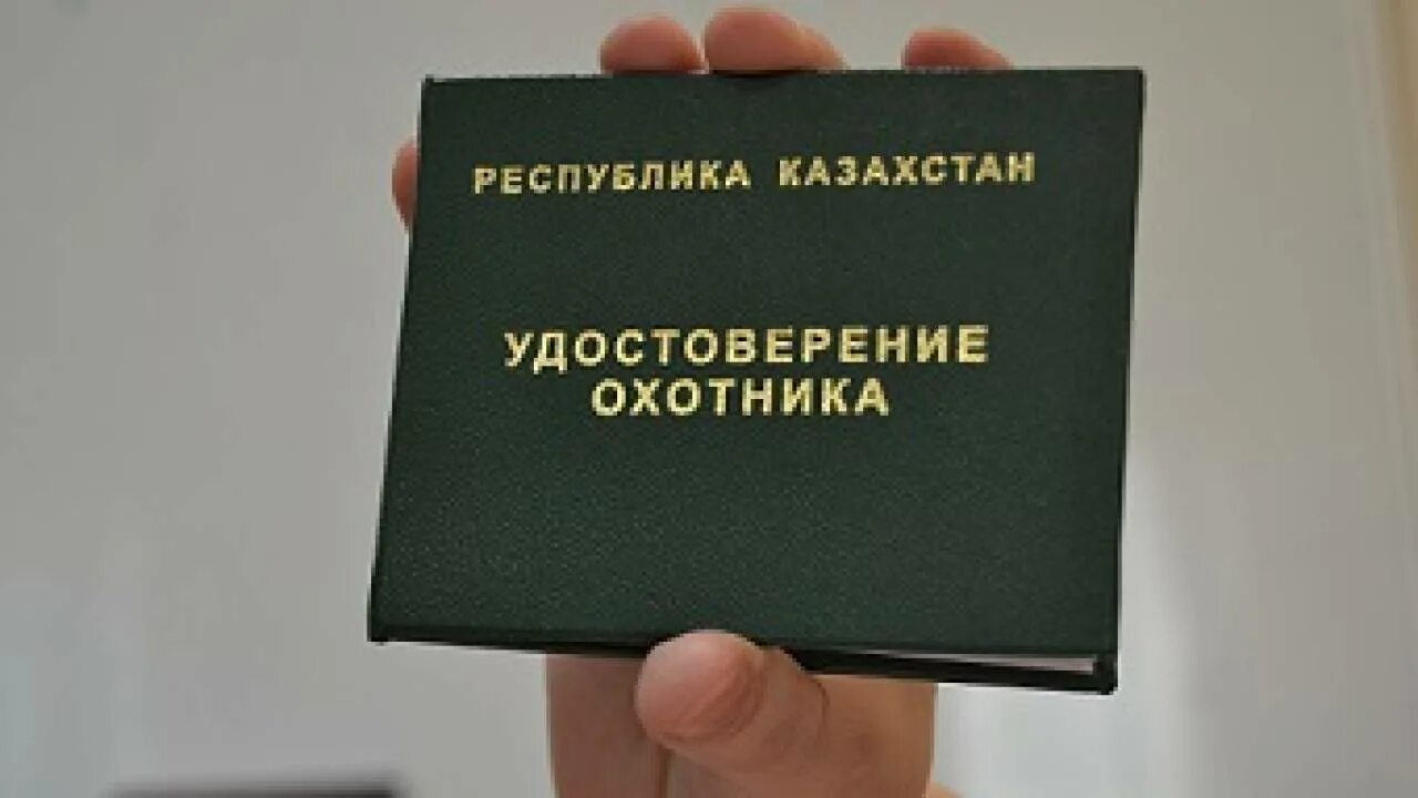 Как получить охотник. Как получить охотник