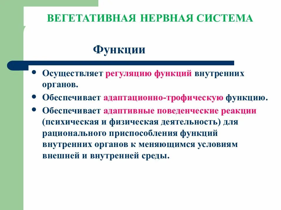 Нервная регуляция вегетативной системы функции. Функции вегетативной нерв системы. Регуляция функций вегетативной нервной системы. Функции вегетативной нервной системы человека. Функции ВНС.