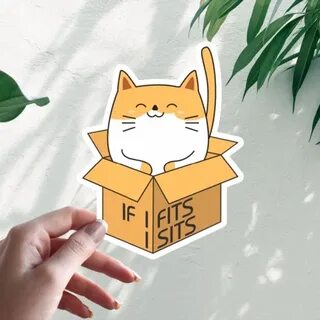 This fits you