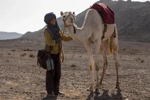 Desert на русском