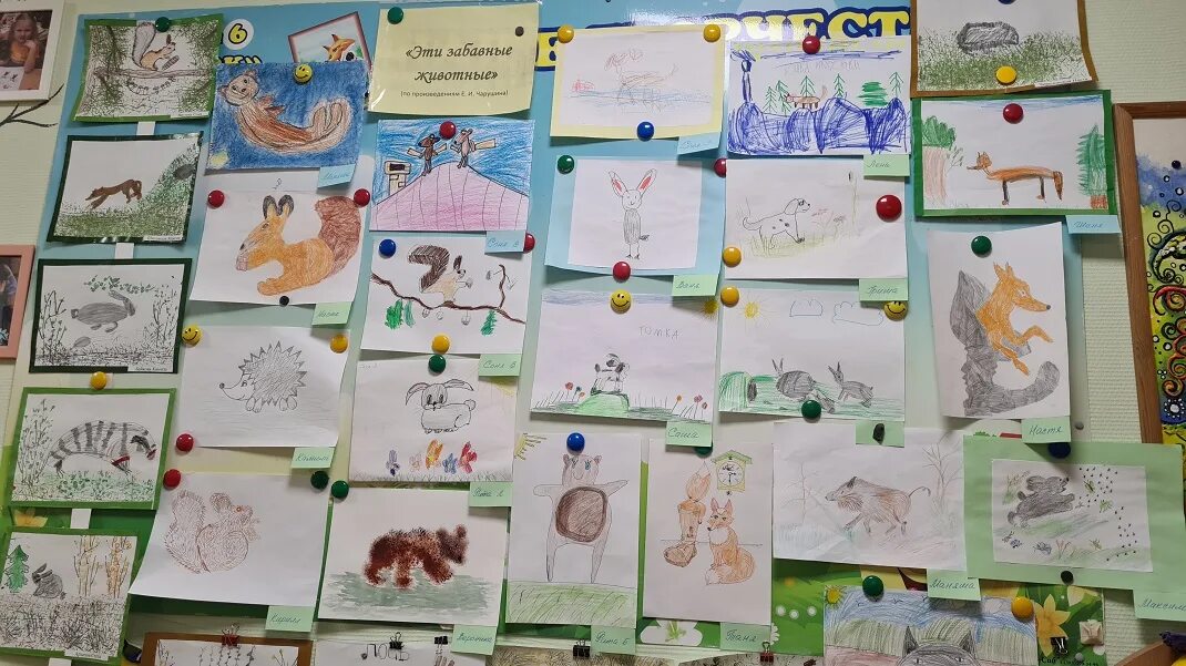 Рисование в детском саду домашние животные. Выставка домашних животных в детском саду. Выставка рисунков домашние животные доу. Фотовыставка домашних питомцев. Выставка рисунков в детском саду животных.