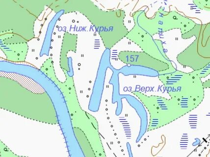Карта курьи