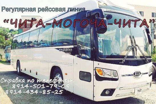 Номер телефона могоча. Маршрутка могоча чита. маршрутное такси чита могоча. чита-могоча автобус. маршрутка до читы.