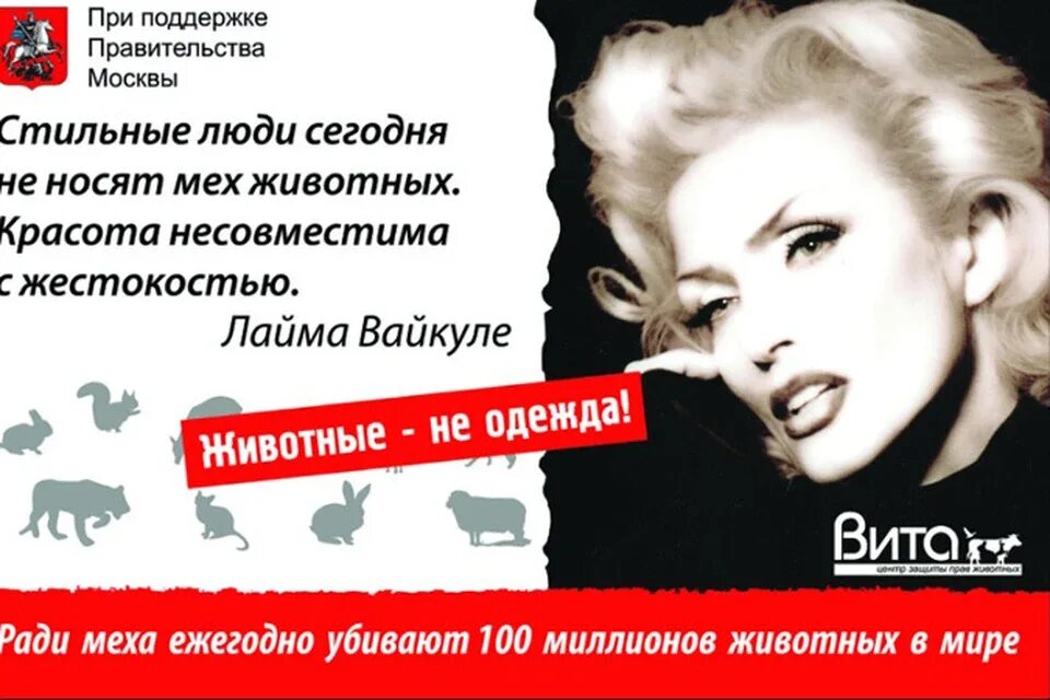 Не носите мех. Звезды в социальной рекламе. социальная реклама меха. социальная реклама правительства.