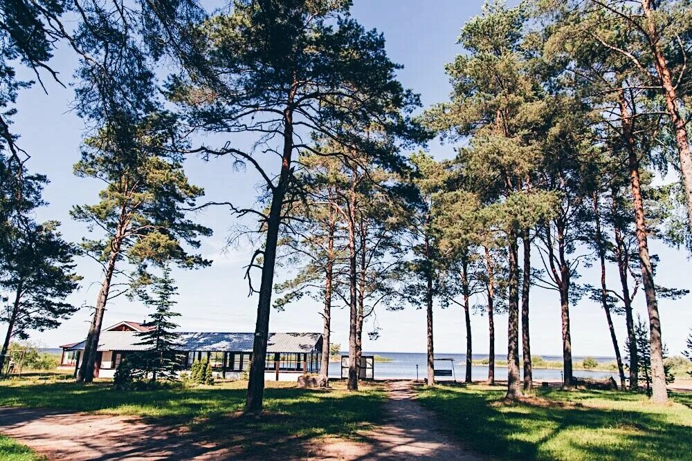 загородный отель плесков псковская область. плесков бассейн псков. плесков псков база. псков гостиницы плесков. плесков псков.