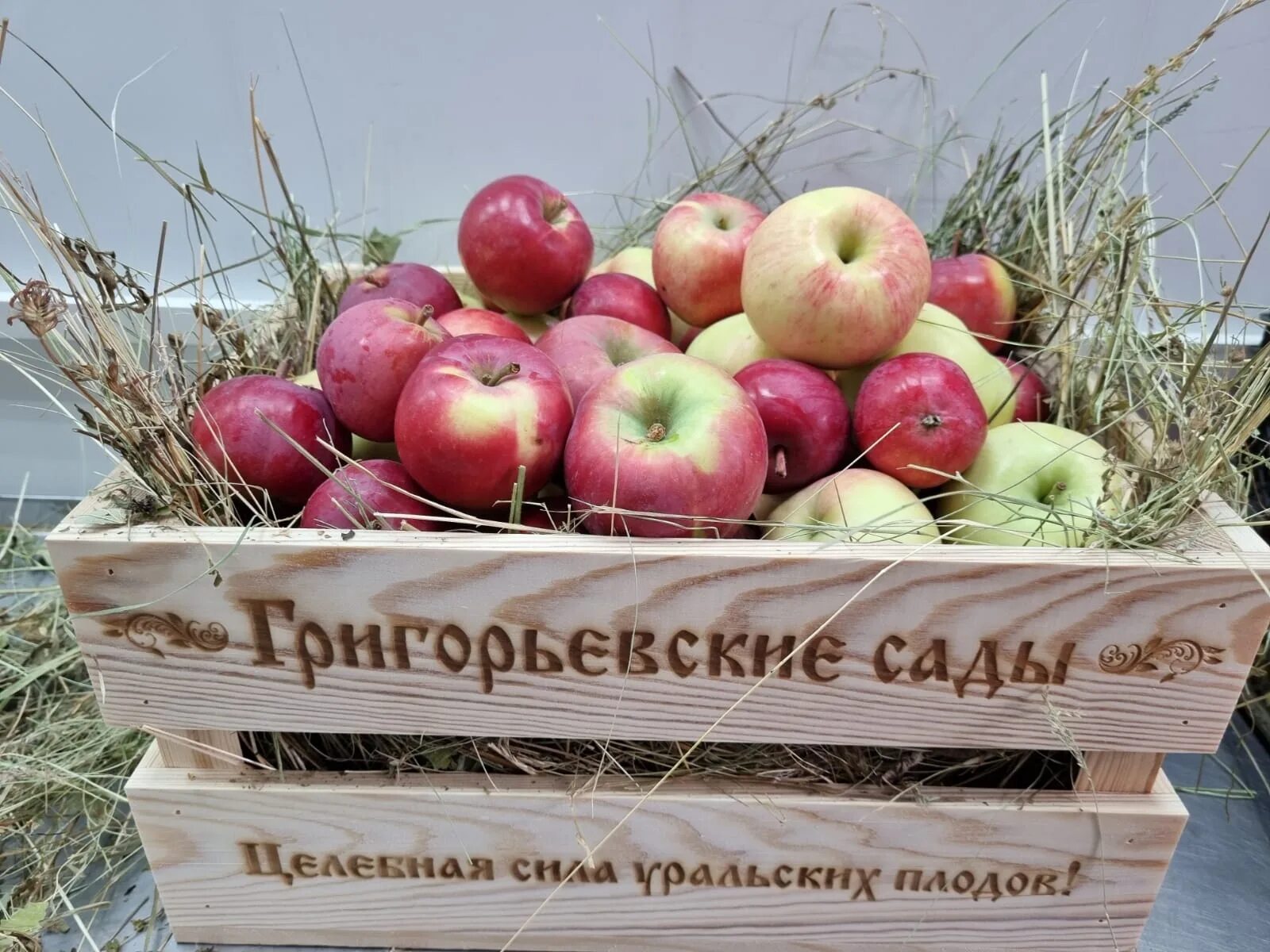 Один раз в год Григорьевские сады цветут - как и положено садам Минсельхоз Челяб
