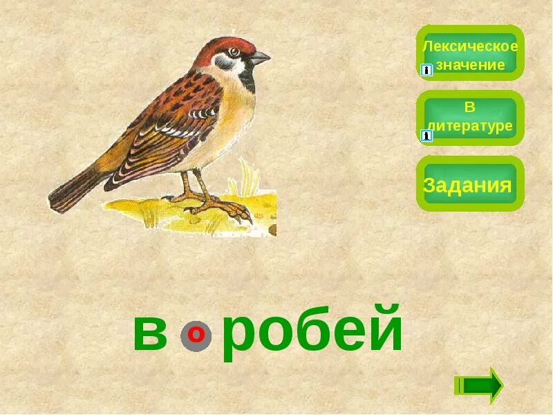 Лексическое значение слова поговорка. Робел лексическое значение. лексическое слово робел. обозначение слова робел. робей что это значит.