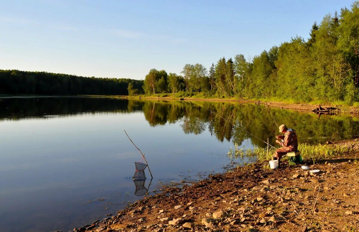 Река Плюсса рыбалка. Озеро Жижицкое рыбалка. Природа река рыбалка. Рыбалка на речке. На реке на озере работал