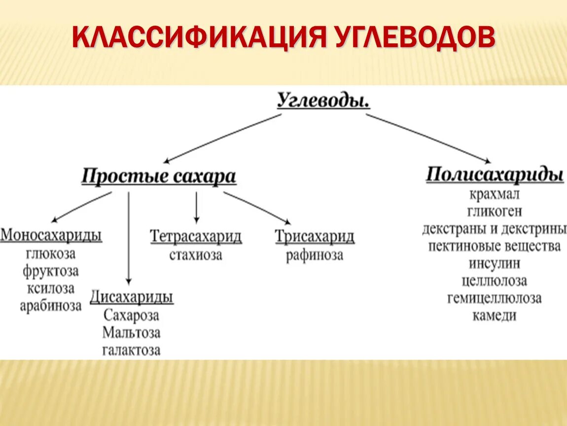 Названия групп углеводов