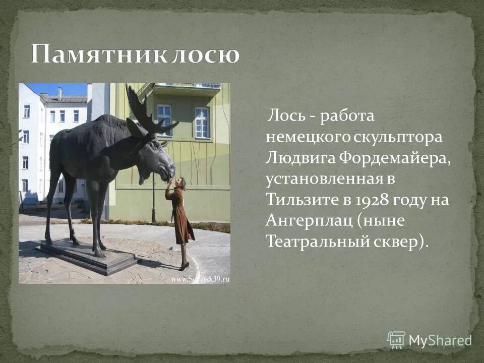 памятник гусев лось. лось описание. лось животное. памятники животным в россии с описанием. работа лось.