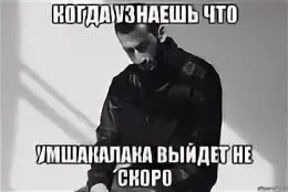 Сын мияги мем кот