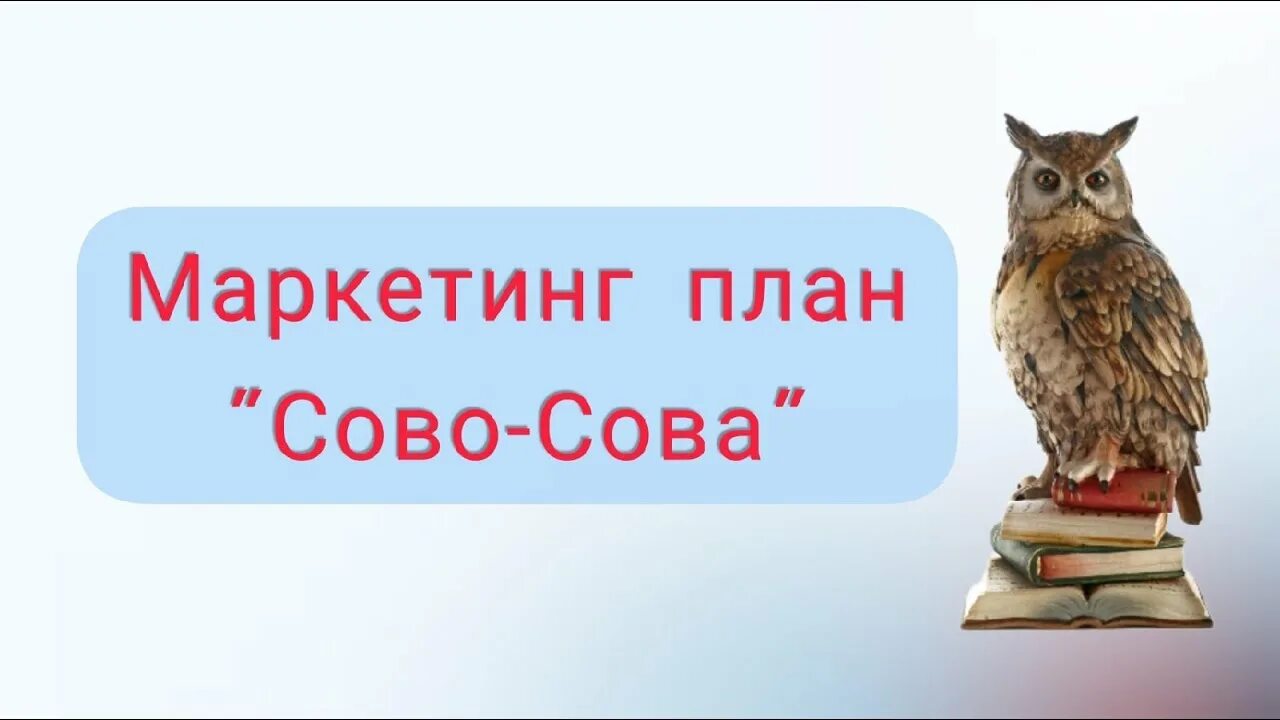 Сайт сова прямой эфир. Сово-Сова маркетинг план. Маркетинг сово Сова. Сово Сова маркетинг план компании. Продукция сово Сова.