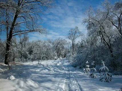 Winter gallery