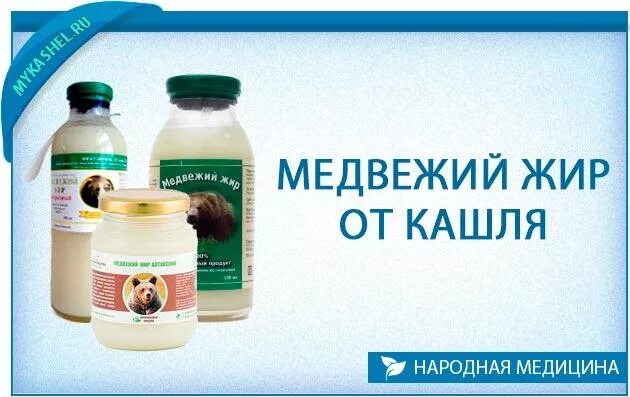 Медвежий жир от чего он. Медвежий жир. народная медицина медвежий жир. медвежий жир при. внутренний медвежий жир.