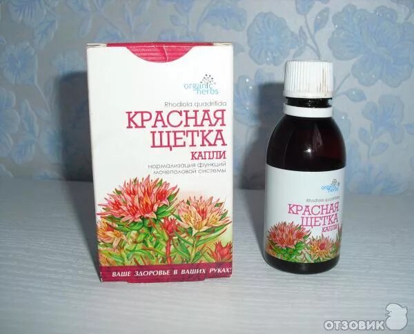 Красная щетка как принимать. Красная щетка во время месячных можно. Радиола четырёхчленная красная щётка. Красная щетка при эндометриозе. Красная щетка во время месячных можно.