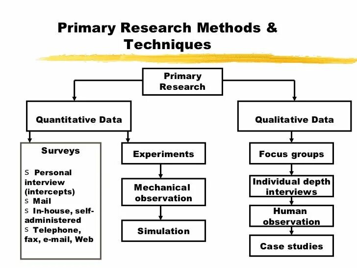 The methods used in the research. Primary research methods. research methodology. secondary market research. types of research methods.