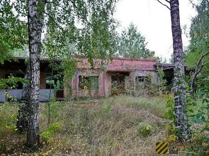 Заря барыбино