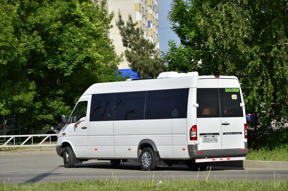 Спринтер московской области