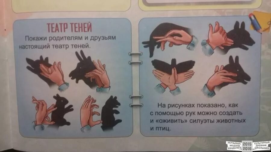 Театр теней текст три дня дождя. Книга фиксики театр теней. театр теней руками книга. театр теней карточки. положение рук для театра теней.