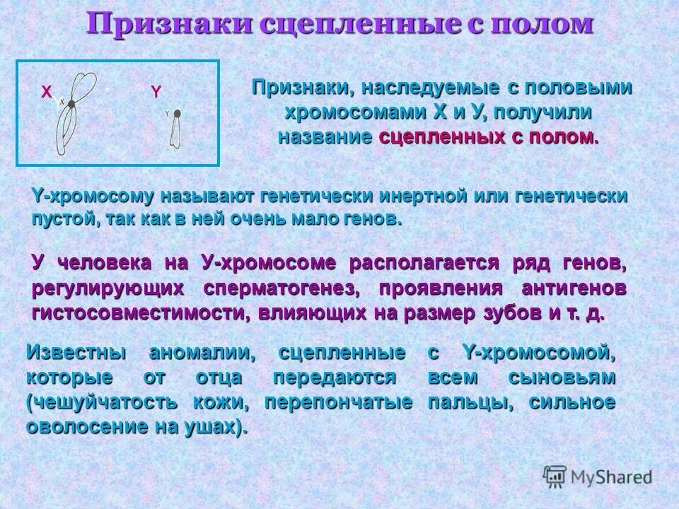 Наследование сцепленное с полом 10 класс