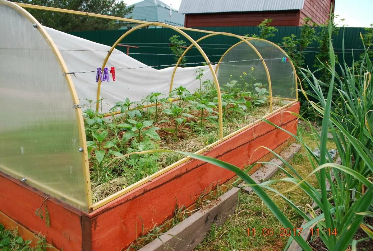 Огуречник парник. Огуречник парник для огурцов. Огуречник парник. Как сделать теплицу для огурцов. Как сделать теплицу для огурцов.