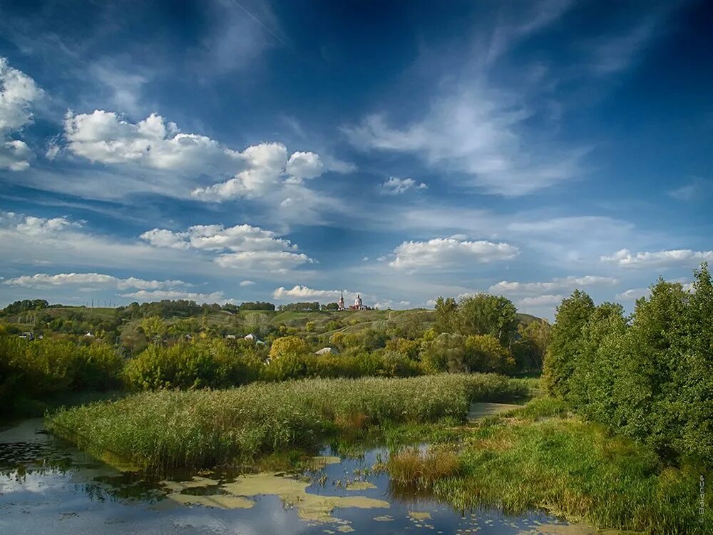 Фотографии белгородской области. Хотмыжск Белгородская область река. Природа Белгорода и Белгородской области. Борисовка Белгородская область пейзажи. Белгородский район Белгородской области природа.