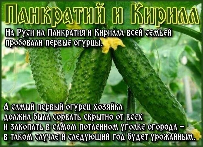 22 июля дата. 22 июля дата