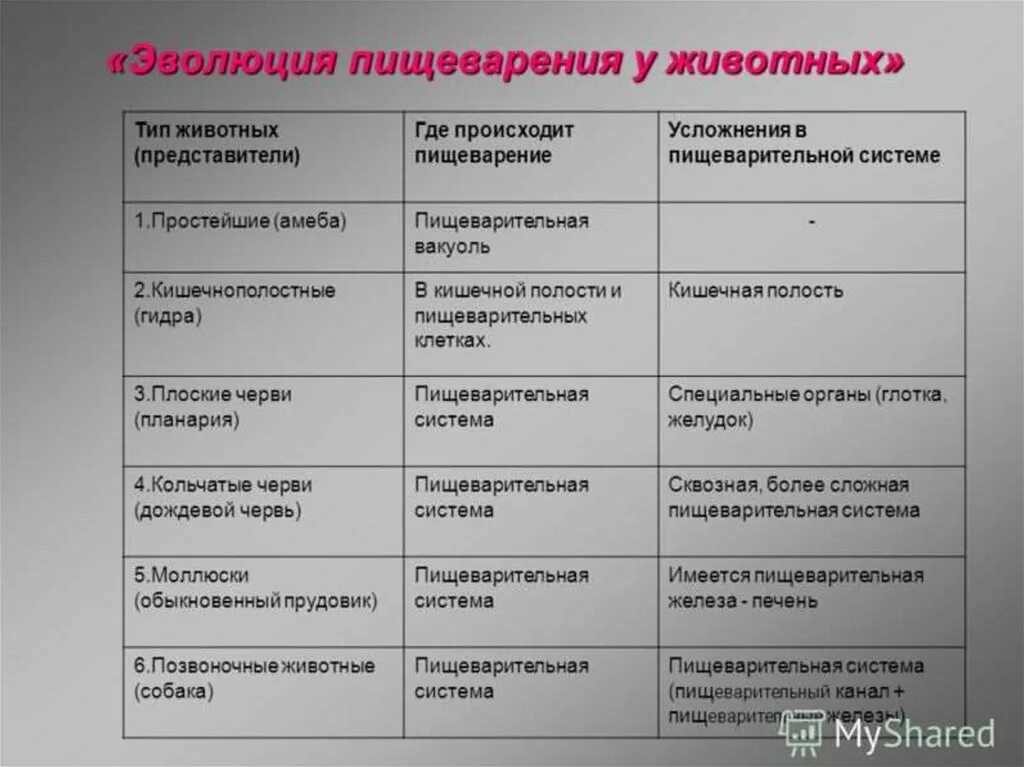 Где происходит ценами