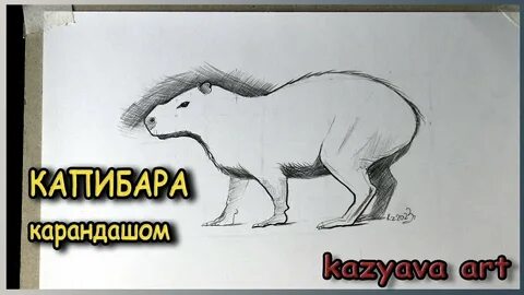 Как можно нарисовать капибару