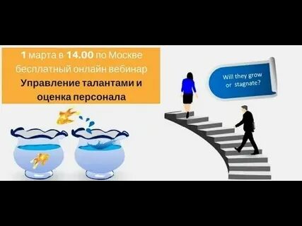 Оценка талантов