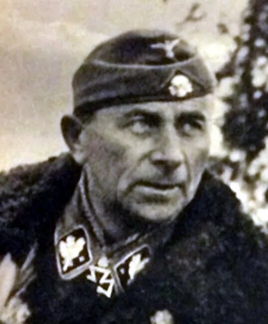 Генерал СС Пауль Хауссер. Ротмистров Пауль Хауссер. Пауль Хауссер июль 1943.