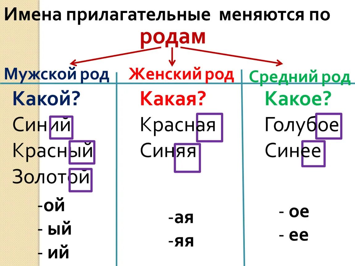 Какие имена прилагательные не изменяются по родам