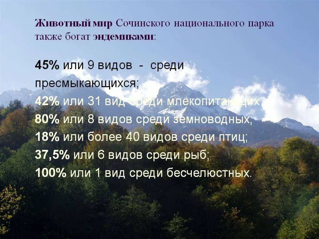 Природная зона сочи 4 класс. Сочинский национальный парк проект. Национальный парк Сочинский проект 4 класс. Сочинский национальный парк презентация для 4 класса. Путешествие по парку Сочинский.