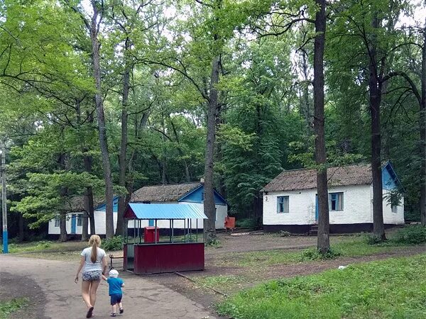 лагерь лесная поляна